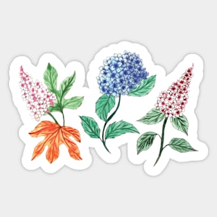 Hydrangeas Sticker